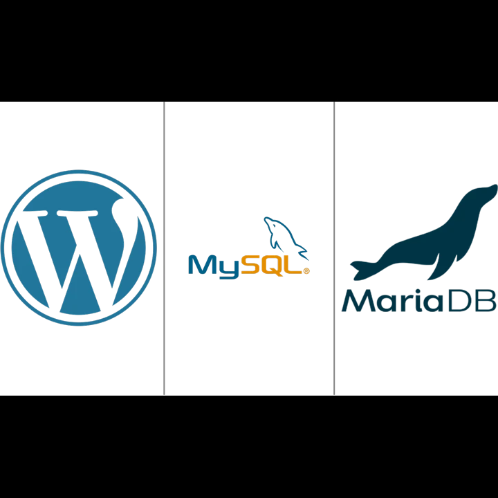 How many databases connection will WordPress make?